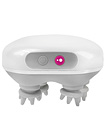 Swan Personal Massage System